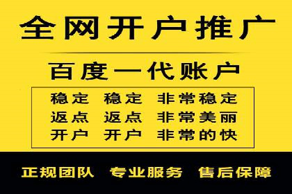 SEM推广代运营：成功案例解析与策略分享